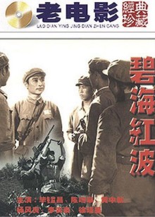 小巫女的魔法世界